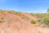 View to the southwest at the north section of the trail at the NICA loop intersection.