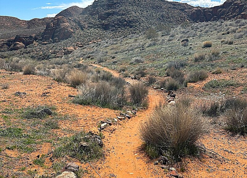 Sandy singletrack looking NE