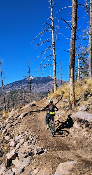 Views of snowy San Francisco peaks looking north from the top of Upper Oldham.