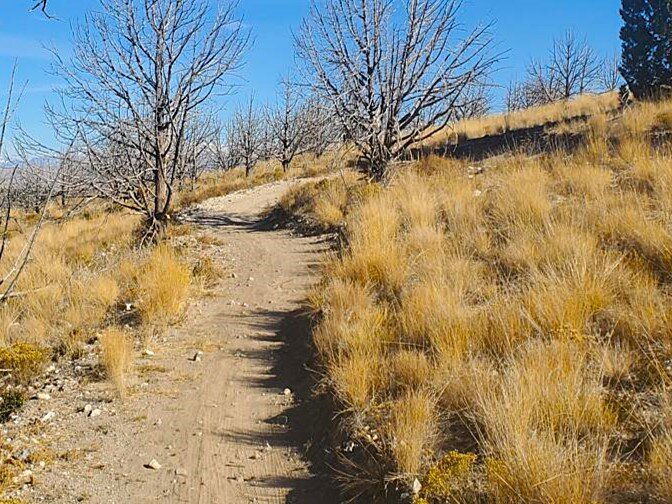 Climb Trail