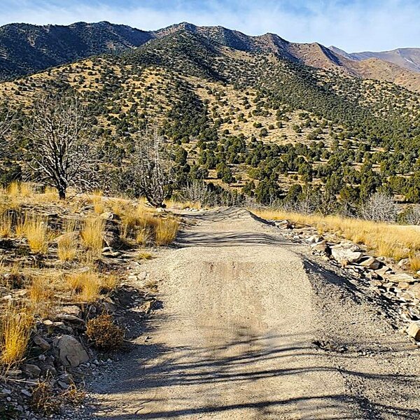 Small tabletops and packed berms.