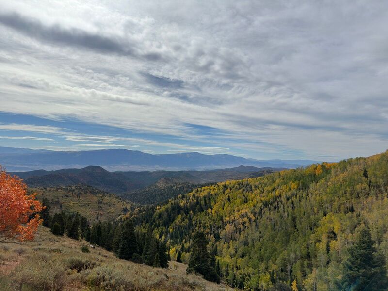 Ridgeline views