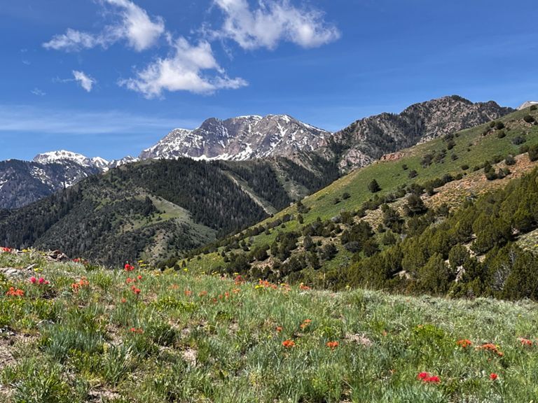 Stansbury Mountains