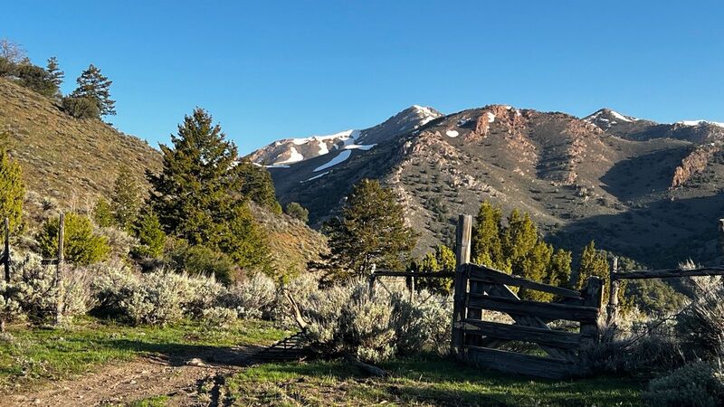 Fence crossing.