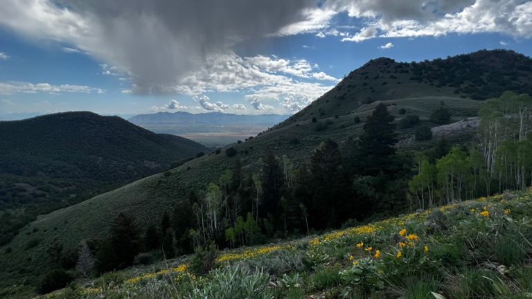 View to the valley.