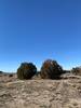 Rycalch Pass on Cedar Mountain Road.