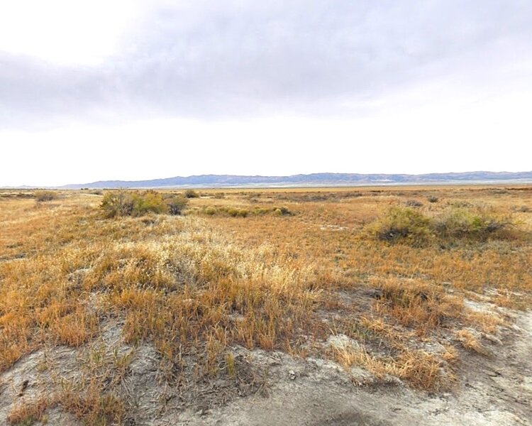 North views off Cedar Mountain Road.