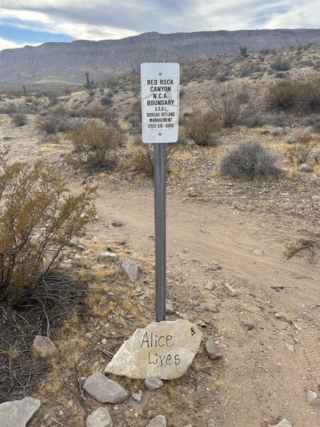 Trail marker on Alice