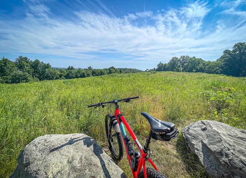 Great views after climbing up the Ridge Trail to the top of Old Town Hill and looking out across Watch Field.