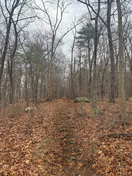 Heading up the first climb.