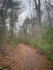 Plenty of fire roads to stretch the legs between singletrack sections.