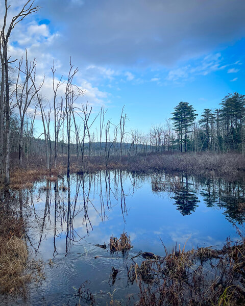 This pond *can* overflow on to the trail.