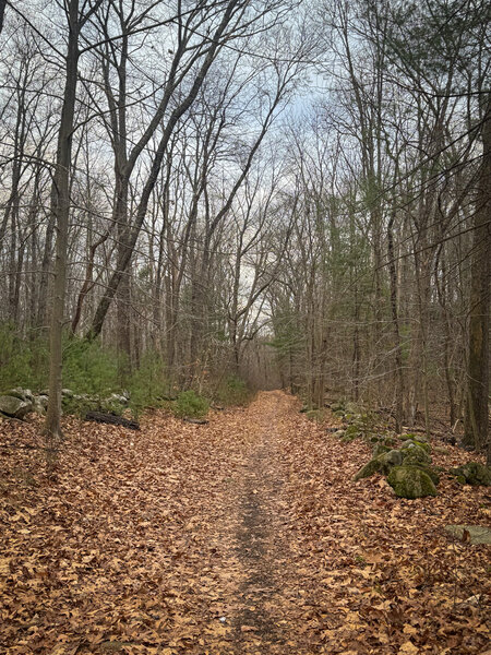 You could ride miles of fire roads or ride them as little as possible and hit tons of singletrack.