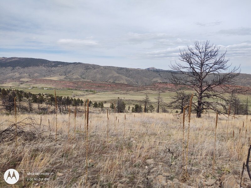 Looking east toward Horsetooth.