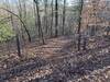 I am standing on Smooth Operator Trail looking at the new connector trail called Big Dawg. Big Dawg connects to another trail (not listed on MTB Project) called "Molla Rolla Loop".