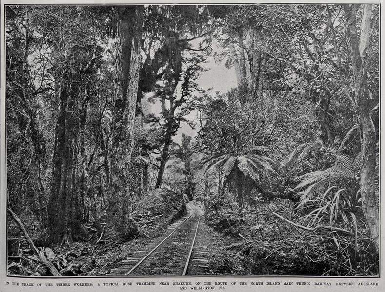 Original Bush Tramway