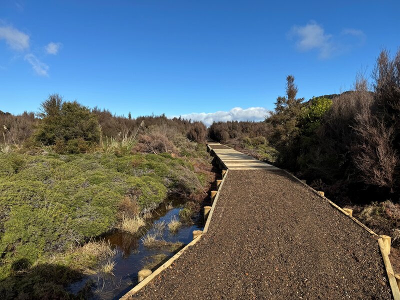 Stunning new section across the tussock land on the Te Ara Mangawhero.