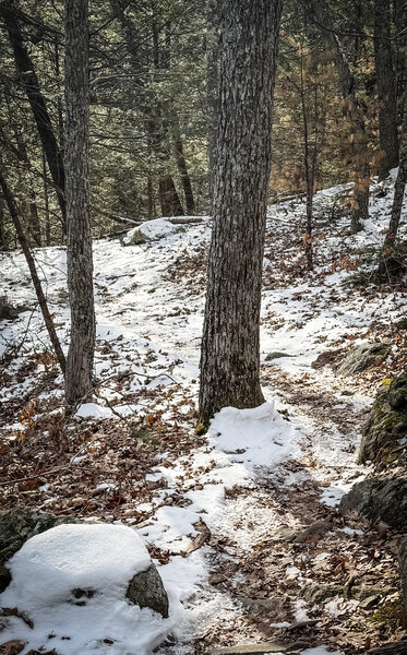 Fun and twisty even with some snow and ice.