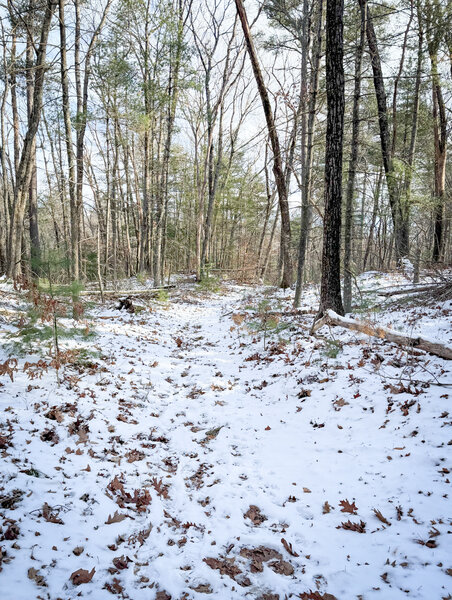 This network of trails is popular even in winter.