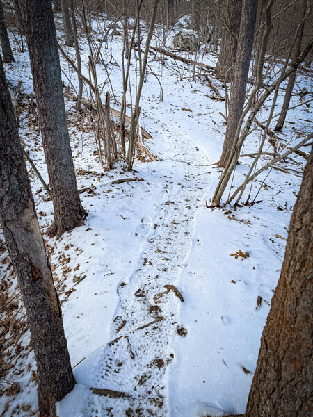 Twists and trees abound.