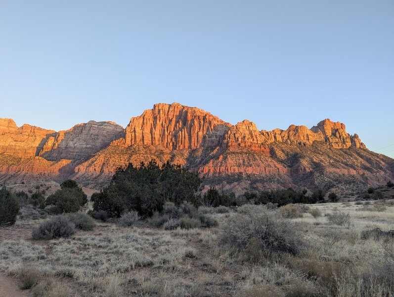 The Watchman