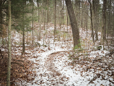 Even though the trail is non-technical, it has some flow and is fun to ride.