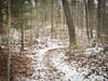 Even though the trail is non-technical, it has some flow and is fun to ride.
