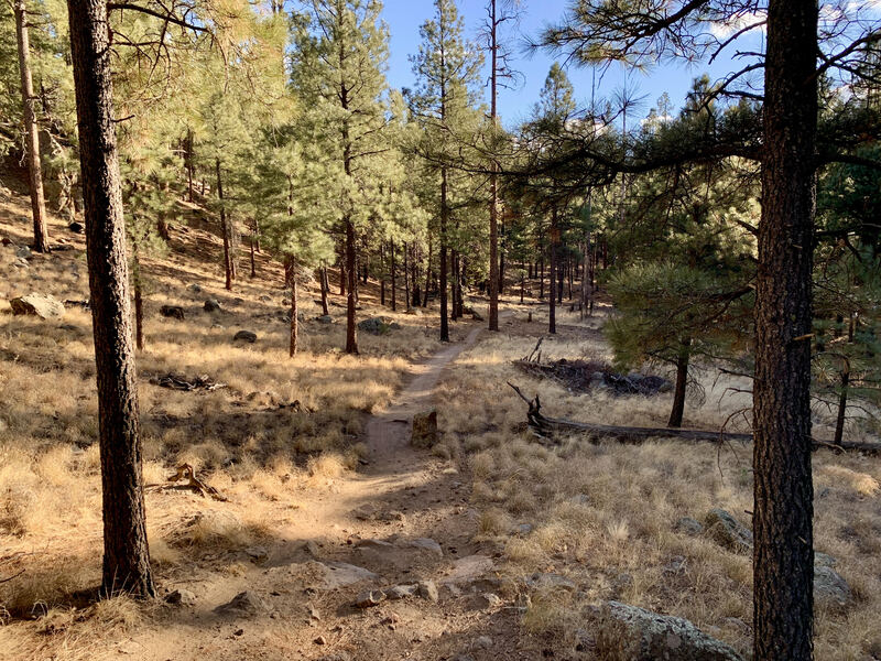 Schultz Creek Trail on a segment shared with the AZT