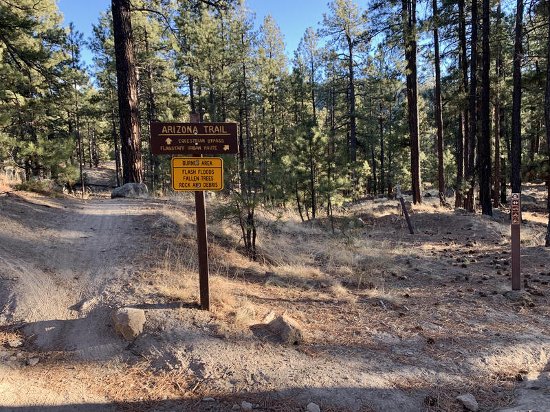 Junction of AZT alternate passages north of Flagstaff. Pay attention to signs because the trail networks are confusing.