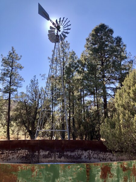 One of several old windmills encountered en route.