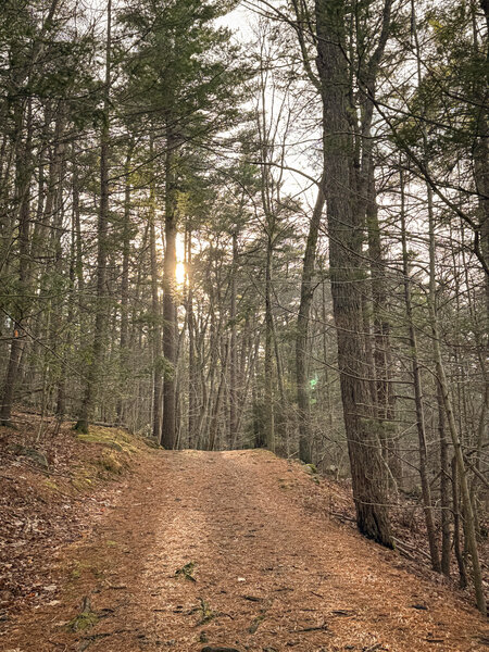 Easy trails, but a beautiful area.