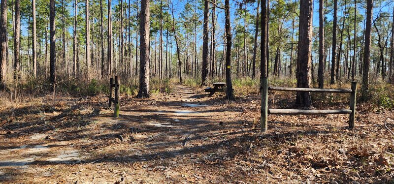 Bear Lake Trail entrance