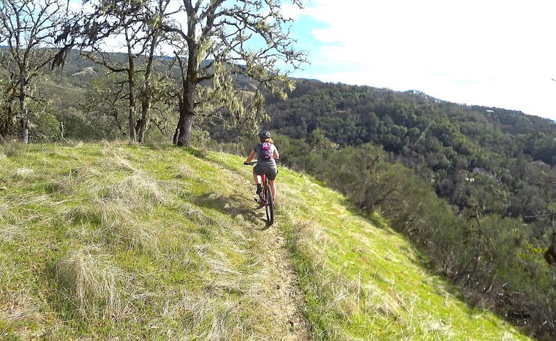 Trail is in great shape