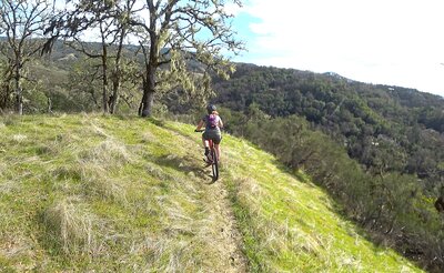 Trail is in great shape