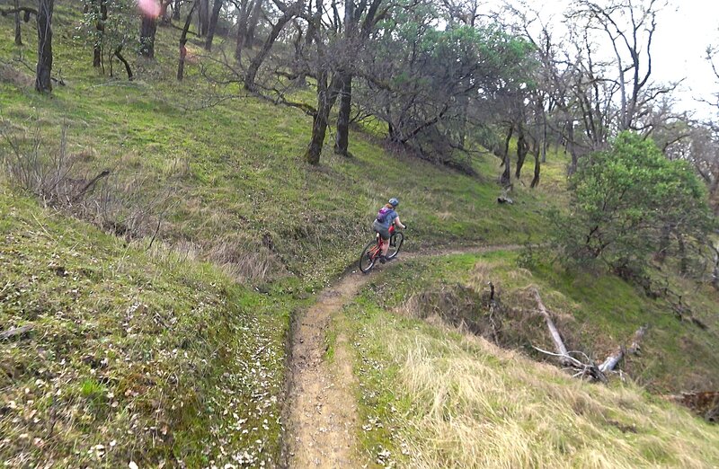 Trail is in great shape.