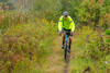 Trails are tight, but smooth enough for a gravel bike.