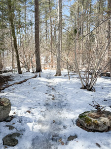 Sometimes you'll need some studded tires.