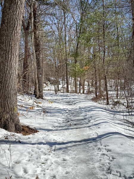 Can be fast and fun in any season.