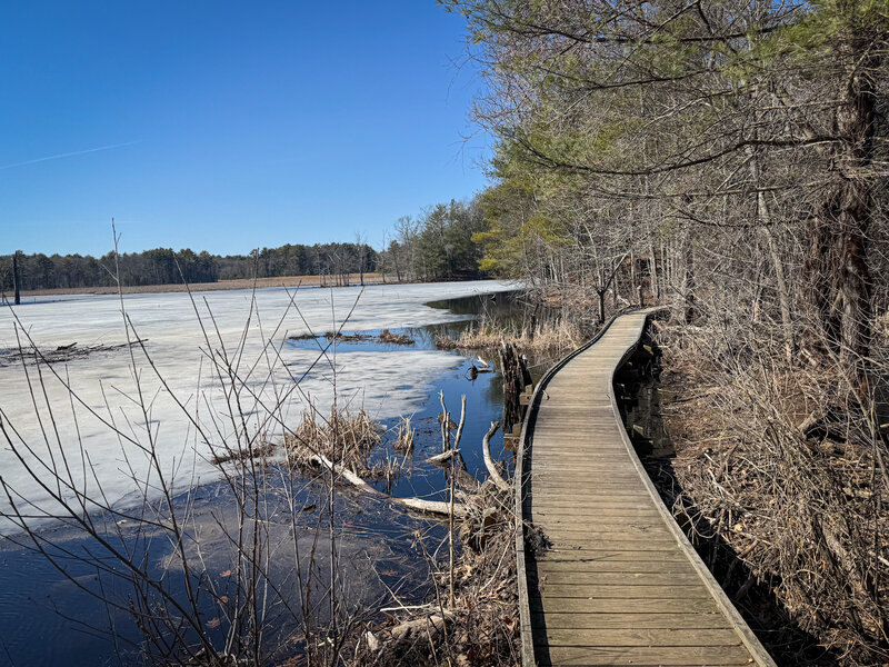 Some well-built and well-maintained bridges in the area.