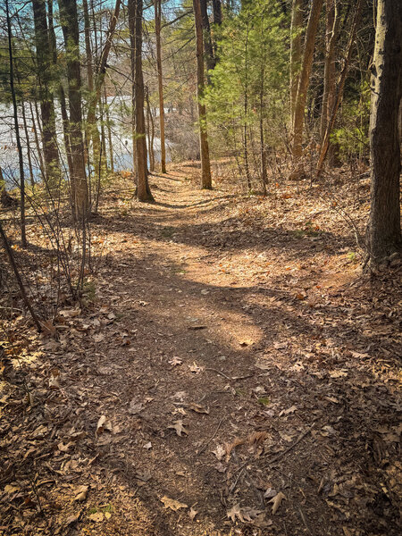 Good flow and good for newer riders.