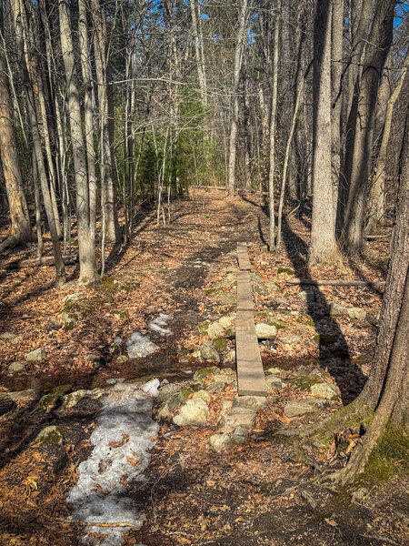 Options: narrow bridge, small stream...