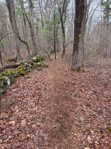 All of the trails are well marked.