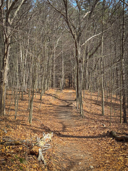 It's called the Overlook Rd, but I must have missed the "overlook."