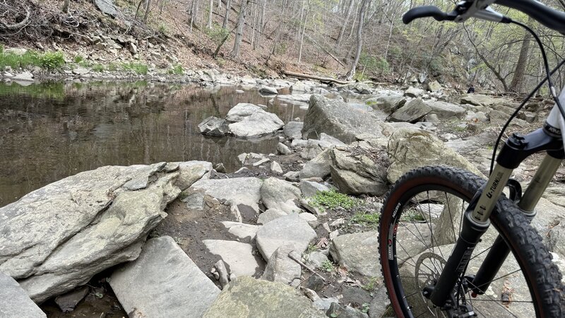 Cabin John south trail in April 2025