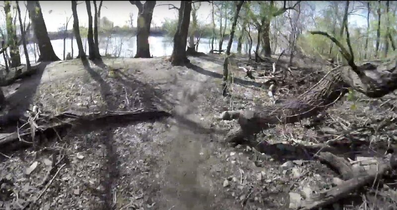 View of the river from the trail.