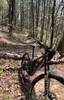 Some tree obstacles along way…near top of Bare Hare.