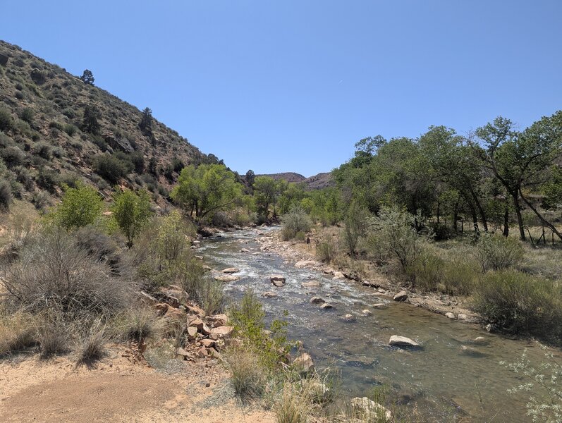 The Virgin River as seen from the north end of the trail.