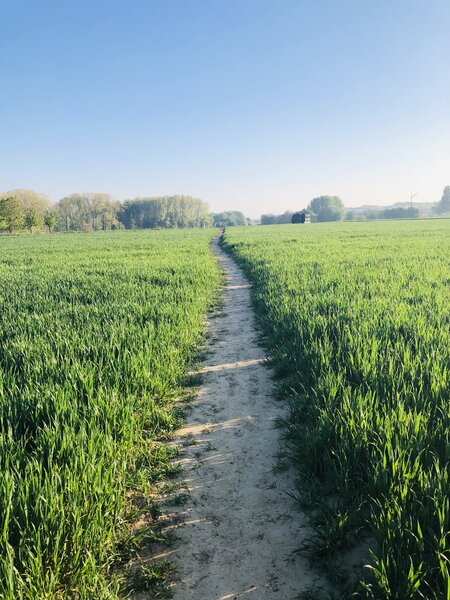 Singletracks