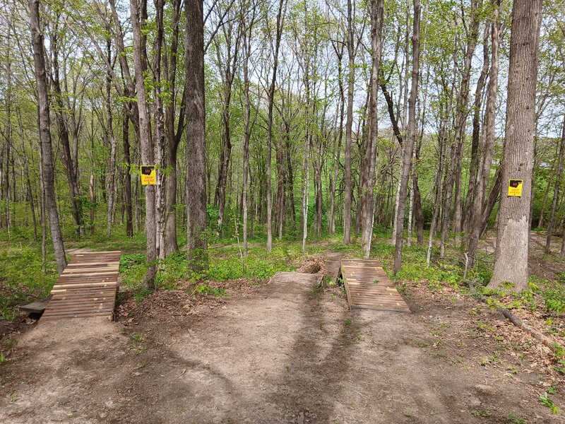 Approach to drop options.