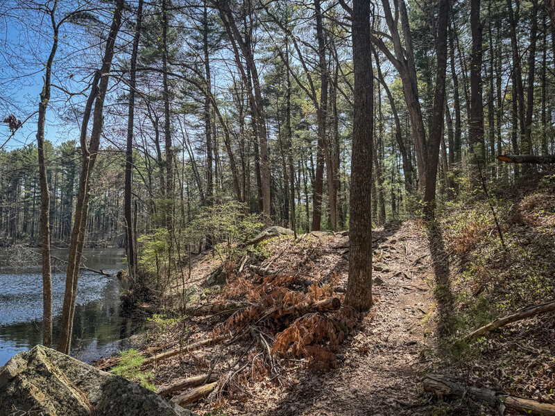 Mostly flat with a few little ups and downs.